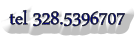 tel 328.5396707